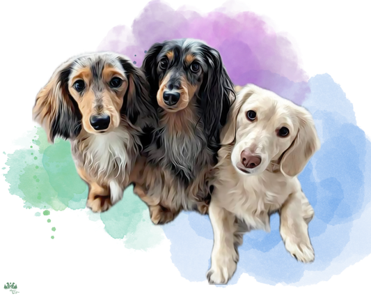 Custom pet portrait artwork — three long-haired dachshunds over watercolor splashes