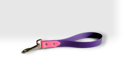 Traffic handle — a short purple Biothane loop with a pink tab and a brass clasp