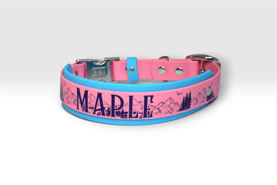 Double Layer collar — Maple, pink over sky blue with a quick-release buckle