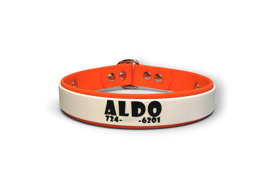 Slip collar — Aldo, white on orange