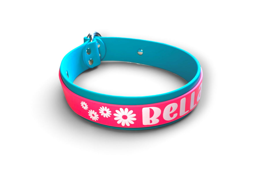 Slip collar — Bella, pink over teal with daisies
