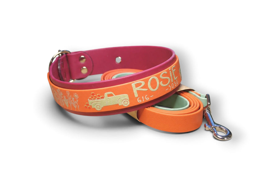 Slip collar — Rosie, orange over magenta with matching leash