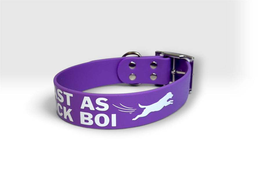 Standard collar — purple with white lettering and a leaping dog