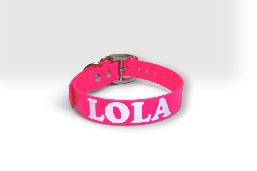 Standard collar — Lola, hot pink with white lettering