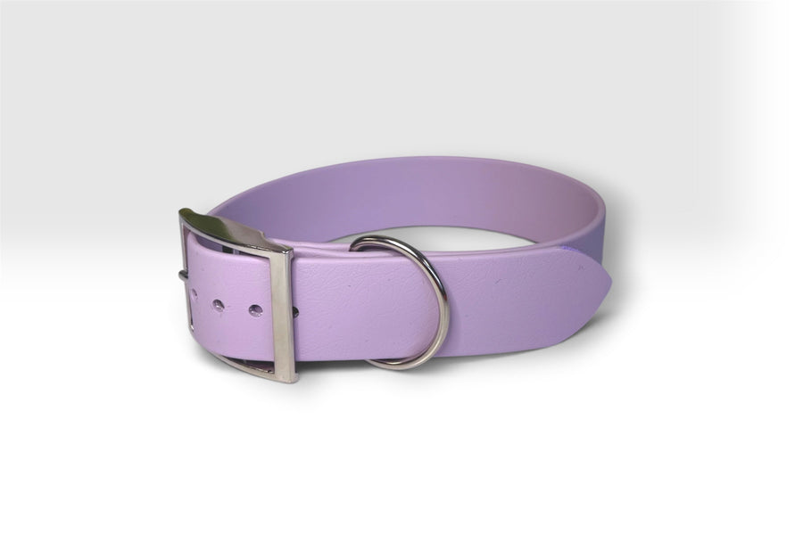 Standard collar — lavender, plain, belt buckle and D-ring