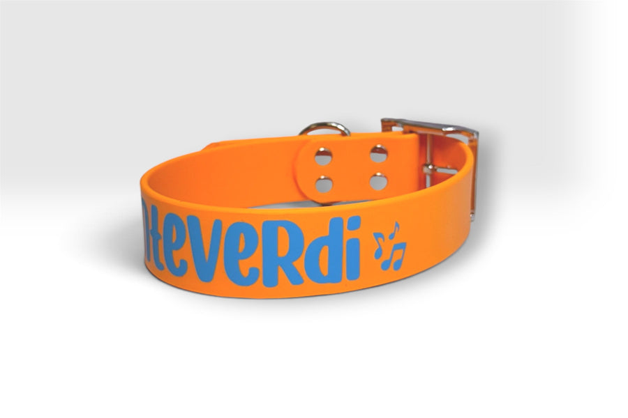 Standard collar — Teverdi, orange with blue lettering and music notes