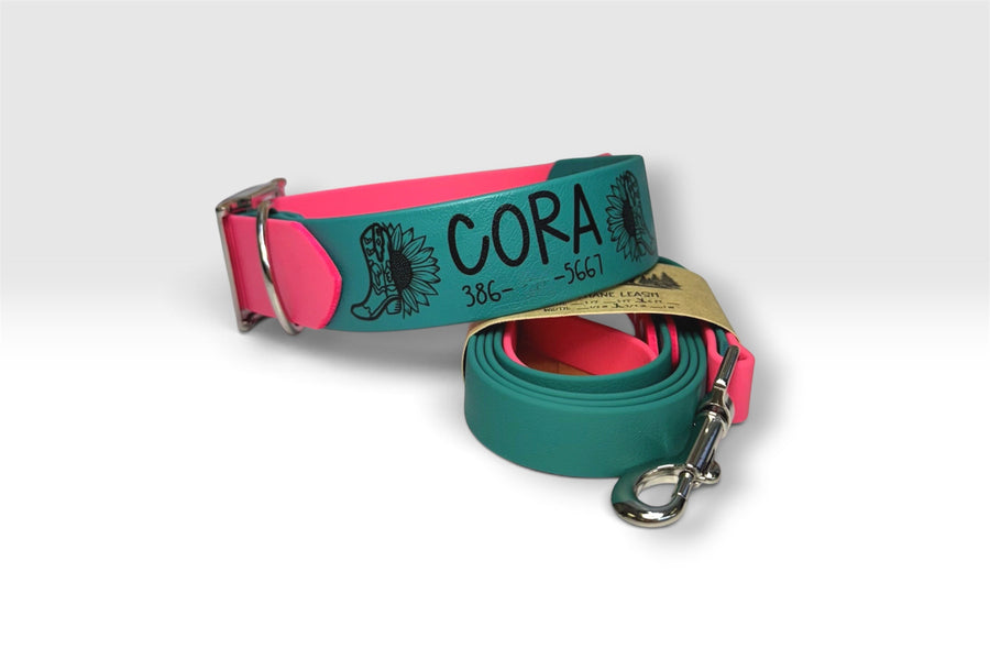 Two-Tone collar — Cora, teal and pink with matching leash