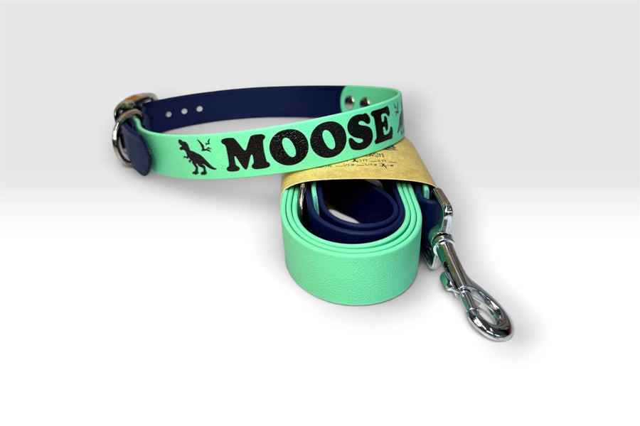 Two-Tone collar — Moose, mint and navy with matching leash