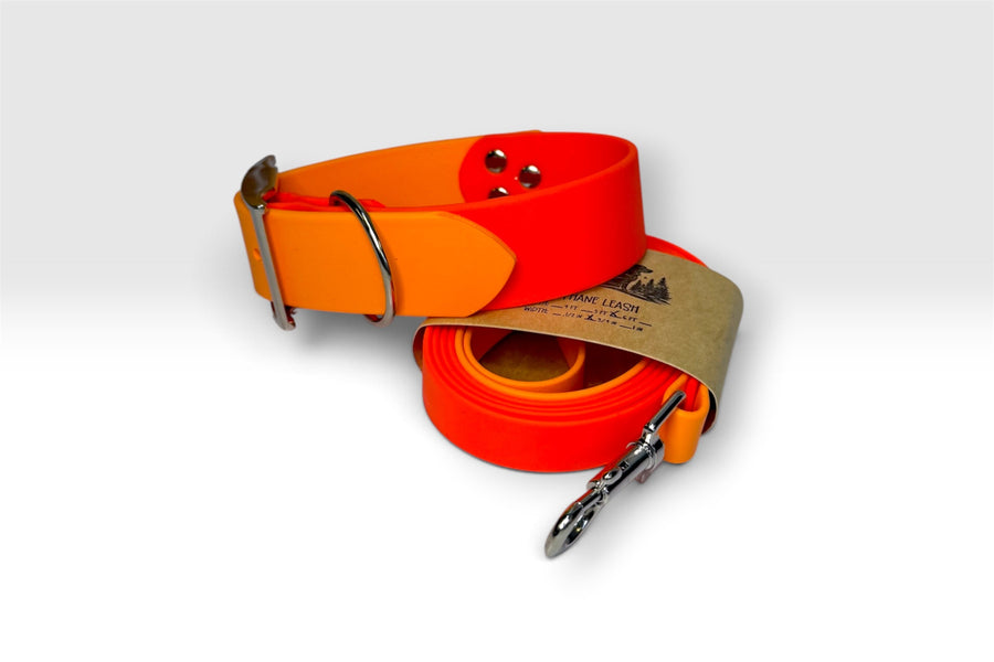 Two-Tone collar in orange with matching leash