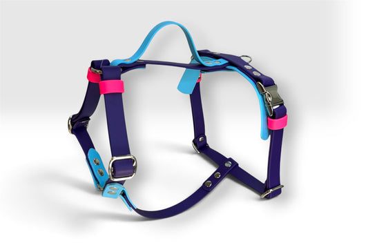Biothane harness — purple and sky blue with pink accents and a grab handle