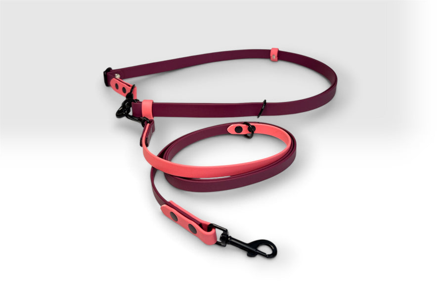 Two-piece hands-free leash — maroon with coral accents and belt, black hardware