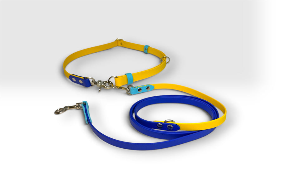 Two-piece hands-free leash — royal blue and yellow with sky blue accents, silver hardware
