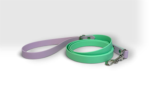 Biothane leash — mint green with a lavender handle, silver clasp
